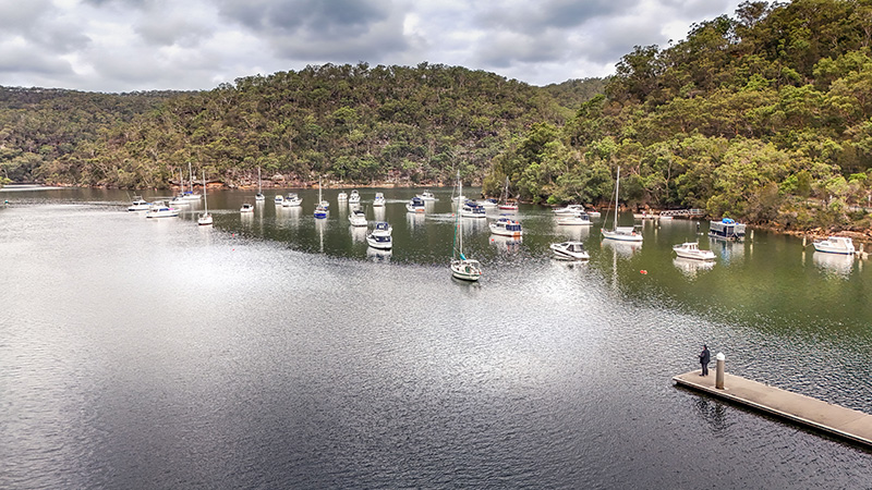 Peaceful bay with sailboats, surrounded by bushland